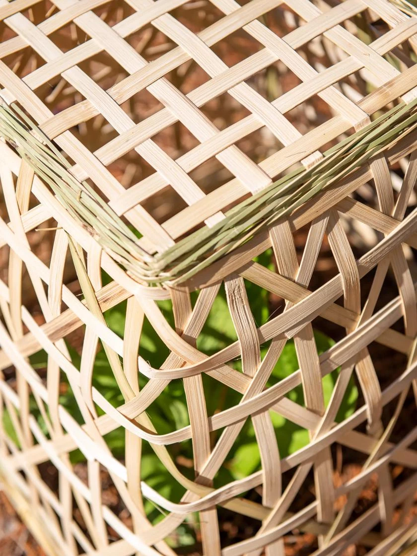 Bamboo Cloche, Set Of 2 7 Bamboo Cloche, Set Of 2 - Image 7