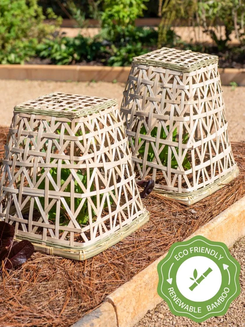 Bamboo Cloche, Set Of 2 1 Bamboo Cloche, Set Of 2