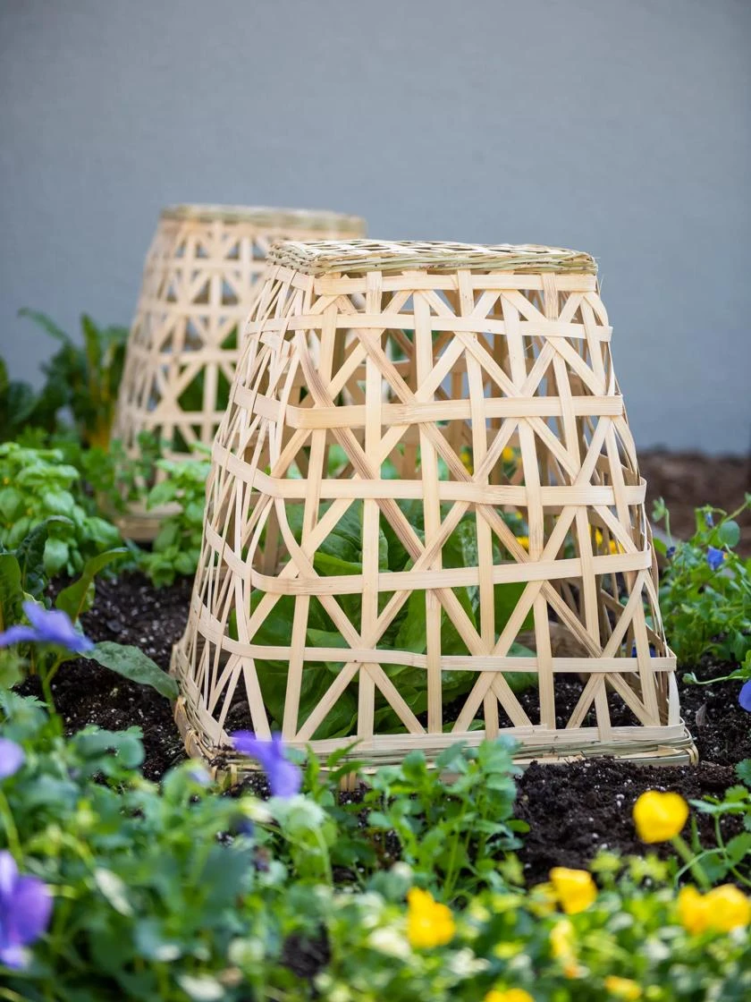 Bamboo Cloche, Set Of 2 2 Bamboo Cloche, Set Of 2 - Image 2