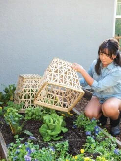 Bamboo Cloche, Set Of 2 13 Bamboo Cloche, Set Of 2 -Garden Care Shop 8613351 6862