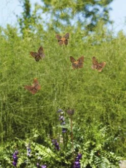 Flutterer Garden Stake -Garden Care Shop 8613372 01V tif