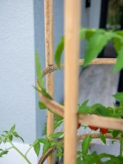 Elevated Bamboo Tomato Planter And Trellis -Garden Care Shop 8613502 0423