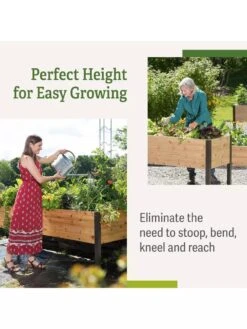 Elevated Planter Box, 2' X 8' -Garden Care Shop B00EOW8FHU raisedbed benefits 1