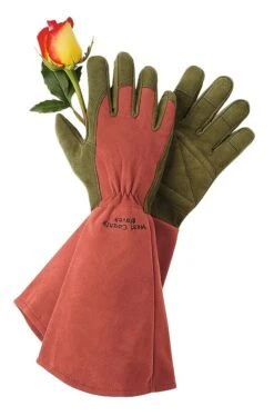 Rose Gloves 5 Rose Gloves -Garden Care Shop GS36874 01Z tif