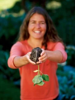 Deep Root Seedstarting System, Black 5 Deep Root Seedstarting System, Black -Garden Care Shop GSCOVSPR06D2 01