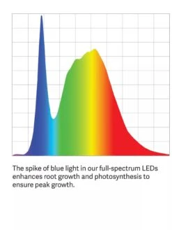 Floor Sunlite® Garden -Garden Care Shop LED ColorSpectrum grid PDP 4
