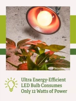 Miracle LED® Absolute Daylight™ Max Flowering Grow Light Bulb 9 Miracle LED® Absolute Daylight™ Max Flowering Grow Light Bulb -Garden Care Shop Miracle Daylight Bulb 2