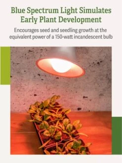 Miracle LED® Absolute Daylight™ Max Flowering Grow Light Bulb 11 Miracle LED® Absolute Daylight™ Max Flowering Grow Light Bulb -Garden Care Shop Miracle Daylight Bulb 4