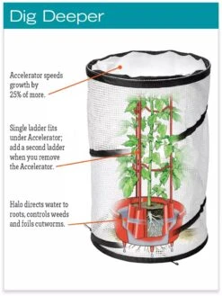 Tomato TLC Kits, Set Of 3 9 Tomato TLC Kits, Set Of 3 -Garden Care Shop hiw 8594214 jpg