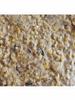 Woodpecker Almond Suet, 11.75 OZ, 12 Pack -Garden Care Shop webimage 8613691 04V